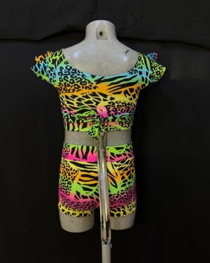 Completo circus tigre