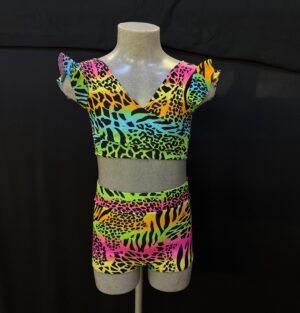 Completo circus tigre