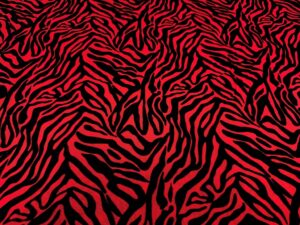 Retina fantasia zebra