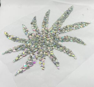 Applicazione art.2424