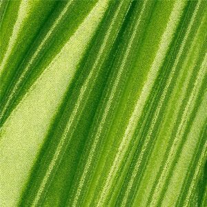 Lycra lurex verde fluo