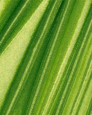 Lycra lurex verde fluo