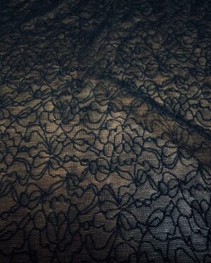 Pizzo lily