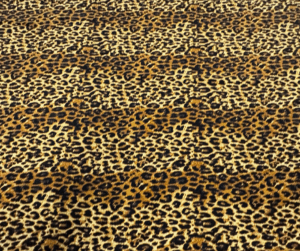 Lycra leopardata 06