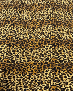 Lycra leopardata 06