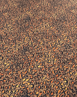Lycra leopardata arancio